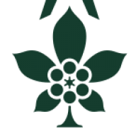 Logo Công ty Cổ phần Sâm Ngọc Linh Tu Mơ Rông Kon Tum